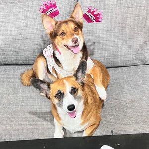 Meet your Posher, Bolong